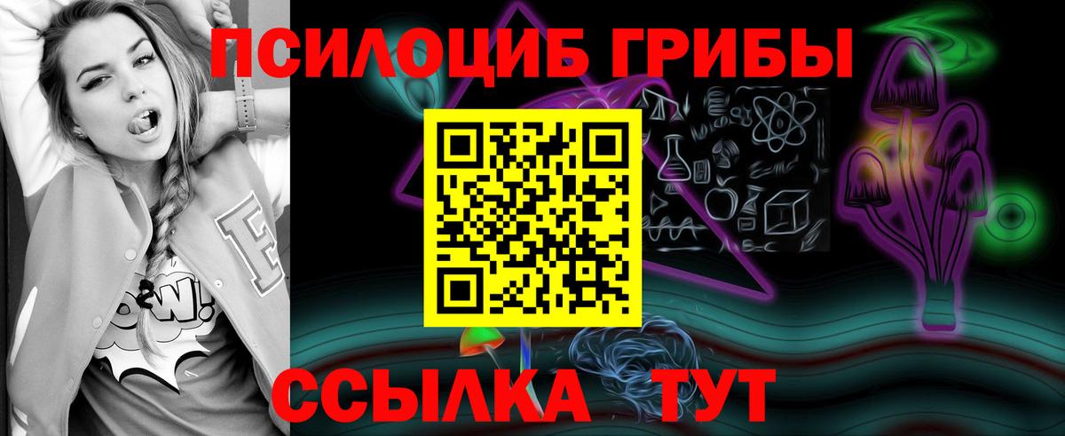 Тамбов  Галлюциногенные грибы Magic Shrooms  Псилоцибиновые грибы Psilocybine cubensis  Вход с VPN 